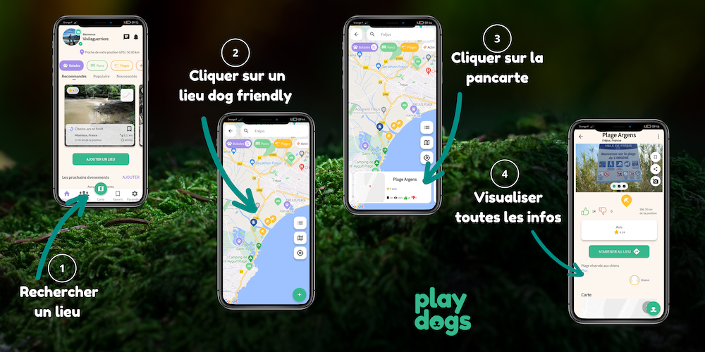 Discover dog-friendly places