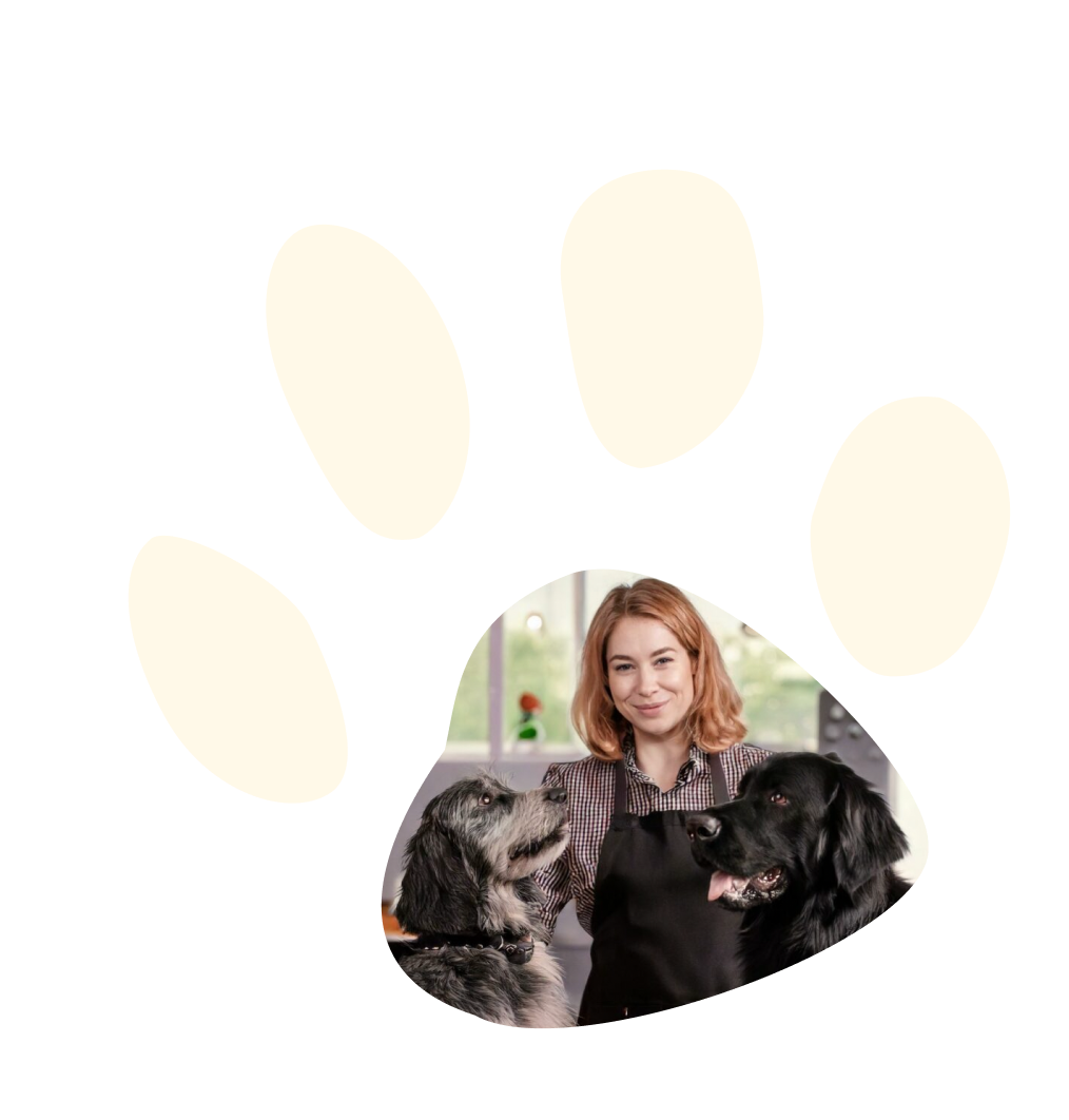 Illustration of Play Dogs app