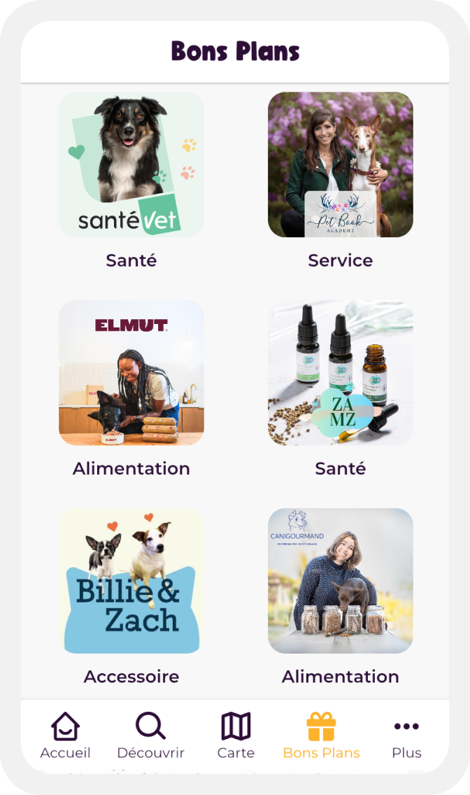 Illustration of Play Dogs app