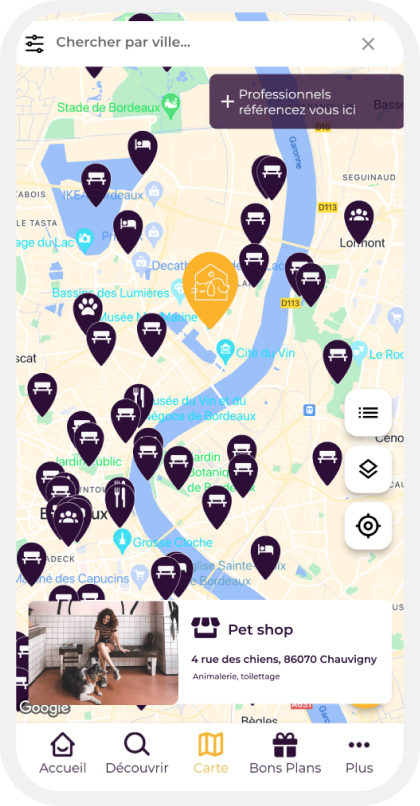 Illustration of Play Dogs app