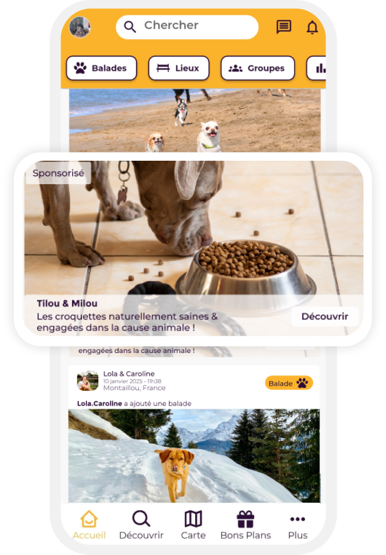 Illustration of Play Dogs app